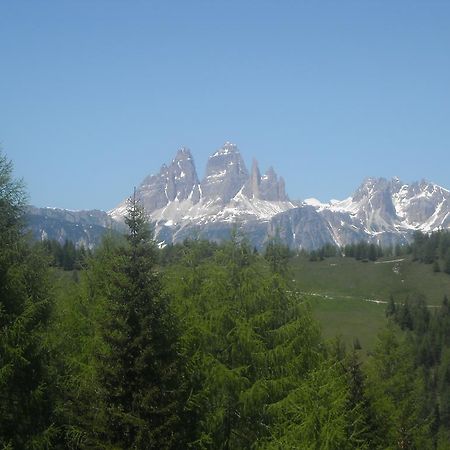 Fabbricato Indipendente Centro Apartment Lozzo Cadore ภายนอก รูปภาพ